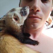 ���������� ������ ��������, ���� ����� �������, 25 ���, ������������ ��� ������, ����� � ���������, c�������� ���������