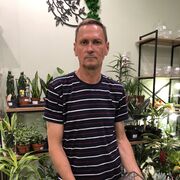 ���������� �����������, ���� ������� ����, 49 ���, ������������ ��� ������, ����� � ���������, c�������� ���������