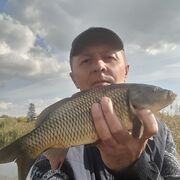  ,   , 50 ,   ,   