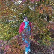  ,   , 70 ,   ,   