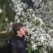 ���������� ������������, ���� ������� ���������, 36 ���, ������������ ��� ������, ����� � ���������, c�������� ���������