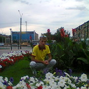 ���������� ����, ���� ������� ���������, 38 ���, ������������ ��� ������, ����� � ���������, c�������� ���������