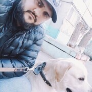 ���������� ���������, ���� ������� �����, 37 ���, ������������ ��� ������, ����� � ���������, ���������