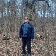 ���������� �����, ���� ������� �������, 69 ���, ������������ ��� ������, ����� � ���������, c�������� ���������