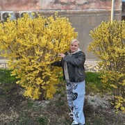  ,   , 53 ,     , c 