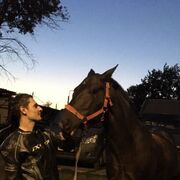 ���������� �����-���������, ���� ������� ����, 41 ���, ������������ ��� ������, ����� � ���������, c�������� ���������