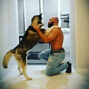 ���������� ���������, ���� ������� ����, 36 ���, ������������ ��� ������, ����� � ���������