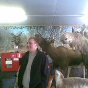 ���������� ������, ���� ������� Iron, 43 ����, ������������ ��� ������