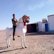  Algiers,  Salim, 35