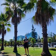 ���������� �����, ���� ������� ��������, 38 ���, ������������ ��� ������, ����� � ���������