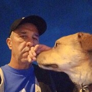  ,   , 52 ,   ,   