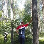 ,   , 38 ,   ,   , c , 