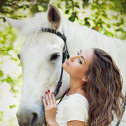 ���������� �������, ���� ������� �������, 40 ���, ������������ ��� c�������� ���������