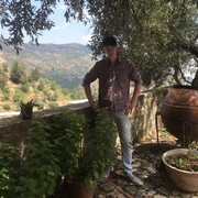 ���������� �����, ���� ������� ���������, 33 ����, ������������ ��� ������, ���������