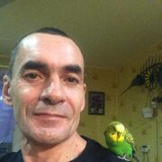  ,   , 53 ,   ,   , 