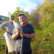 ���������� �������, ���� ������� ������, 36 ���, ������������ ��� ������, ����� � ���������