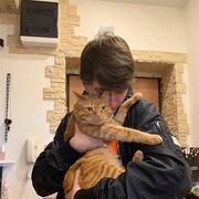  ,   Rocky, 23 ,   ,   