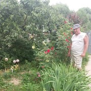 ���������� �������, ���� ������� ��������, 65 ���, ������������ ��� ������, ����� � ���������, c�������� ���������