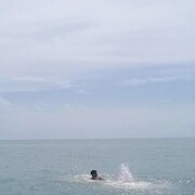  ,   , 26 ,   ,   , c , 