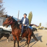  ,   , 48 ,     , c , 
