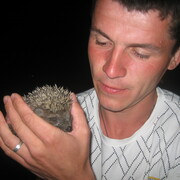 ���������� �������, ���� ������� �������, 40 ���, ������������ ��� ������, ����� � ���������, c�������� ���������, ���������