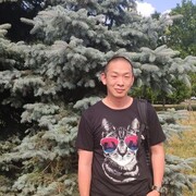 ���������� ������, ���� ������� ���������, 38 ���, ������������ ��� ������, ����� � ���������