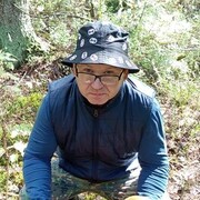 ���������� �����, ���� ������� ������, 44 ����, ������������ ��� ������, ����� � ���������, c�������� ���������, ���������