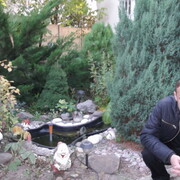 ,   , 43 ,   ,   , c 