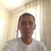  -,   , 44 ,  