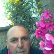  ,   , 50 ,   ,   , c 