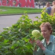  ,   , 37 ,     , c , 