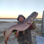 ���������� ��������, ���� ������� �������, 49 ���, ������������ ��� ������, ����� � ���������