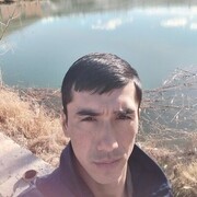   ,  , 28