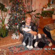  ,   , 52 ,   ,   , c 