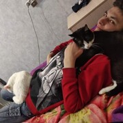  ,   , 28 ,   ,   , c 