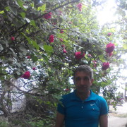  ,   Alim, 50 ,   