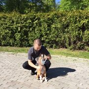 ���������� �����-���������, ���� ������� �����, 37 ���, ������������ ��� ������, ����� � ���������