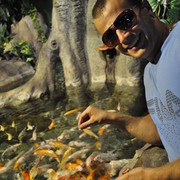 ���������� ��������, ���� ������� ��������, 37 ���, ������������ ��� ������, ����� � ���������, c�������� ���������