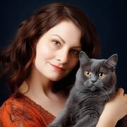 ���������� ����� ��, ������� ������, 47