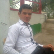 ���������� �����, ���� ������� Shohin, 31 ���, ������������ ��� ������, ����� � ���������