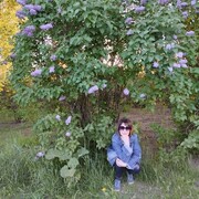 ���������� �������������, ���� ������� ������, 59 ���, ������������ ��� c�������� ���������, ���������