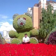  ,   , 50 ,  
