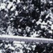 ���������� �������, ���� ������� ������, 37 ���, ������������ ��� ������, ����� � ���������, c�������� ���������