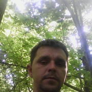  ,   , 41 ,   