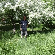  --,   , 50 ,     , c 