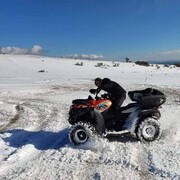 ���������� �������, ���� ������� Nodo, 34 ����, ������������ ��� ������, ����� � ���������