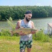 ���������� �����, ���� ������� ����, 33 ����, ������������ ��� ������, ����� � ���������, c�������� ���������, ���������