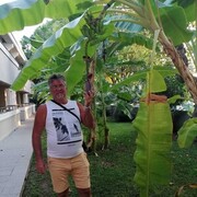 Bad Hersfeld,   Willi, 59 ,     , c 