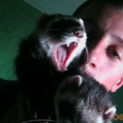  ,   F0zer, 33 ,  