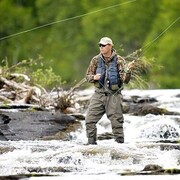 ���������� ������, ���� ������� �����, 43 ����, ������������ ��� ������, ����� � ���������